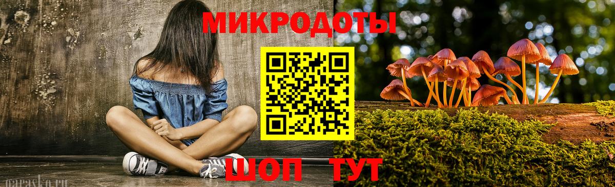 Галлюциногенные грибы GOLDEN TEACHER Махачкала